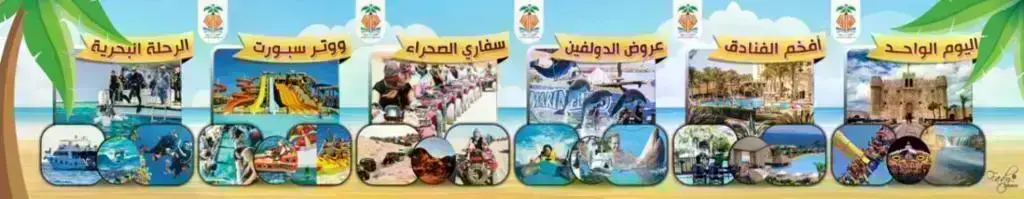 الفيروز-ترافيل