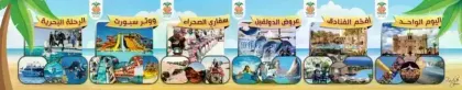 الفيروز ترافيل