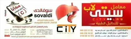 City LAB المحـلة الكبـرى