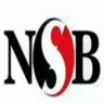 بنك ناصر الاجتماعى logo
