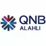 بنك كيو ان بى الاهلى logo