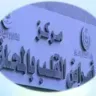 مركز قلب المحلة الكبري logo