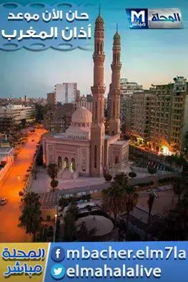 شبكة مباشر المحلة 5