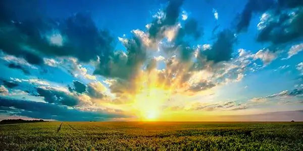 شبكة مباشر المحلة 6