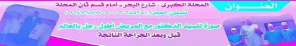 الأستاذ الدكتور / أشرف السيد عباس
