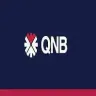 كيو ان بى الاهلى logo