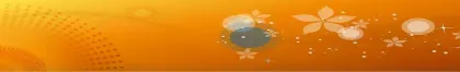 تن تن   للبصريات