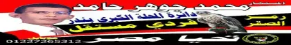 محمد جوهر حامد الدسوقى